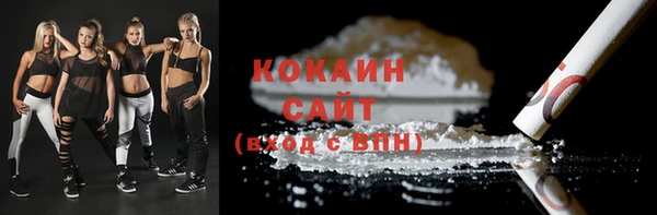 тгк Алзамай