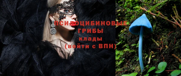 тгк Алзамай