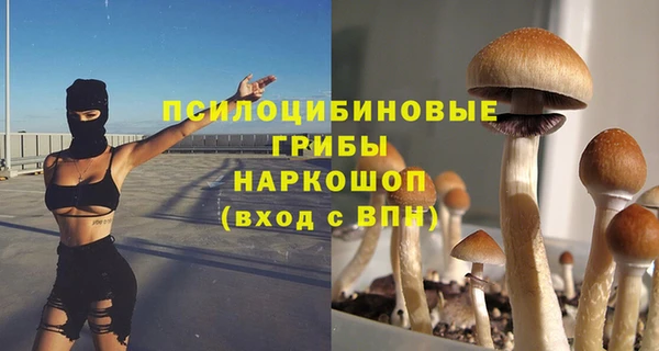 тгк Алзамай