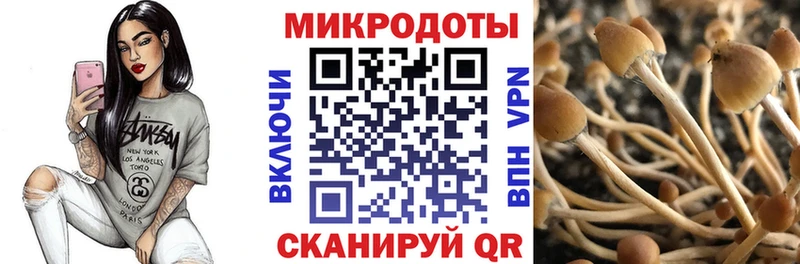 Псилоцибиновые грибы Psilocybine cubensis  blacksprut как войти  Малоархангельск 